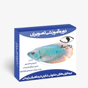 بیماری های شایع عفونی