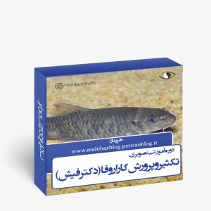 تکثیر و پرورش گارا روفا (دکترفیش)