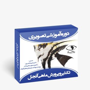 تکثیر و پرورش آنجل