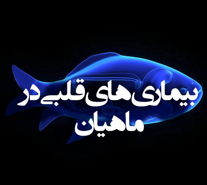 بیماری های قلبی در ماهیان